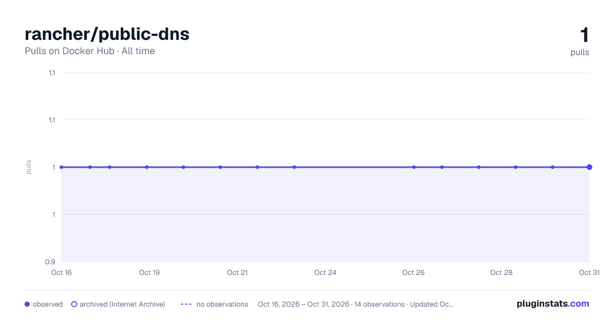 rancher/public-dns all-time pulls chart on Docker Hub